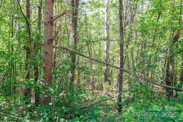 LOT13 Meadow Crossing Dr, Rutherfordton, NC 28139 - photo 1