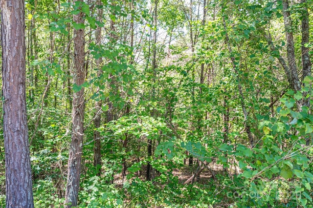 LOT13 Meadow Crossing Dr, Rutherfordton, NC 28139 - photo 4