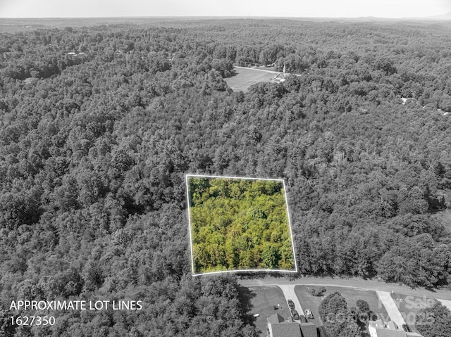 LOT13 Meadow Crossing Dr, Rutherfordton, NC 28139 - photo 5