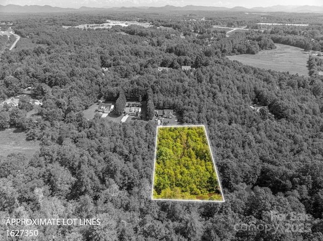 LOT13 Meadow Crossing Dr, Rutherfordton, NC 28139 - photo 8
