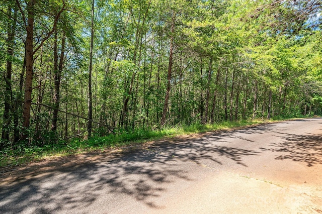 LOT13 Meadow Crossing Dr, Rutherfordton, NC 28139 - photo 12