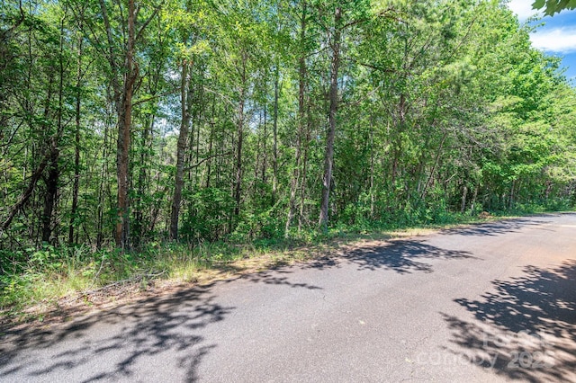 LOT13 Meadow Crossing Dr, Rutherfordton, NC 28139 - photo 13
