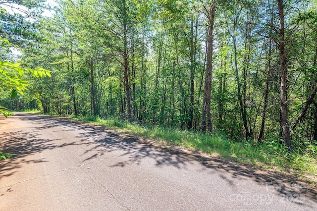 LOT13 Meadow Crossing Dr, Rutherfordton, NC 28139 - photo 14