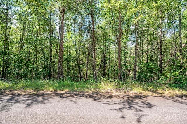 LOT13 Meadow Crossing Dr, Rutherfordton, NC 28139 - photo 15
