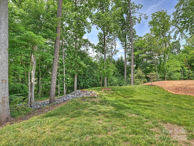 822 River Oaks Ln, Charlotte, NC 28226 - view of grassy yard