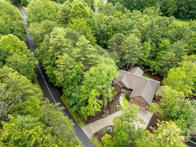 321 Middle Connestee Trl, Brevard, NC 28712 - view of subject property