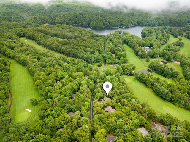 321 Middle Connestee Trl, Brevard, NC 28712 - aerial view of a large body of water