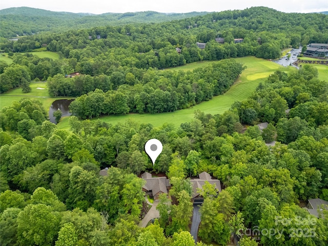 321 Middle Connestee Trl, Brevard, NC 28712 - bird's eye view of a heavily wooded area and a golf club