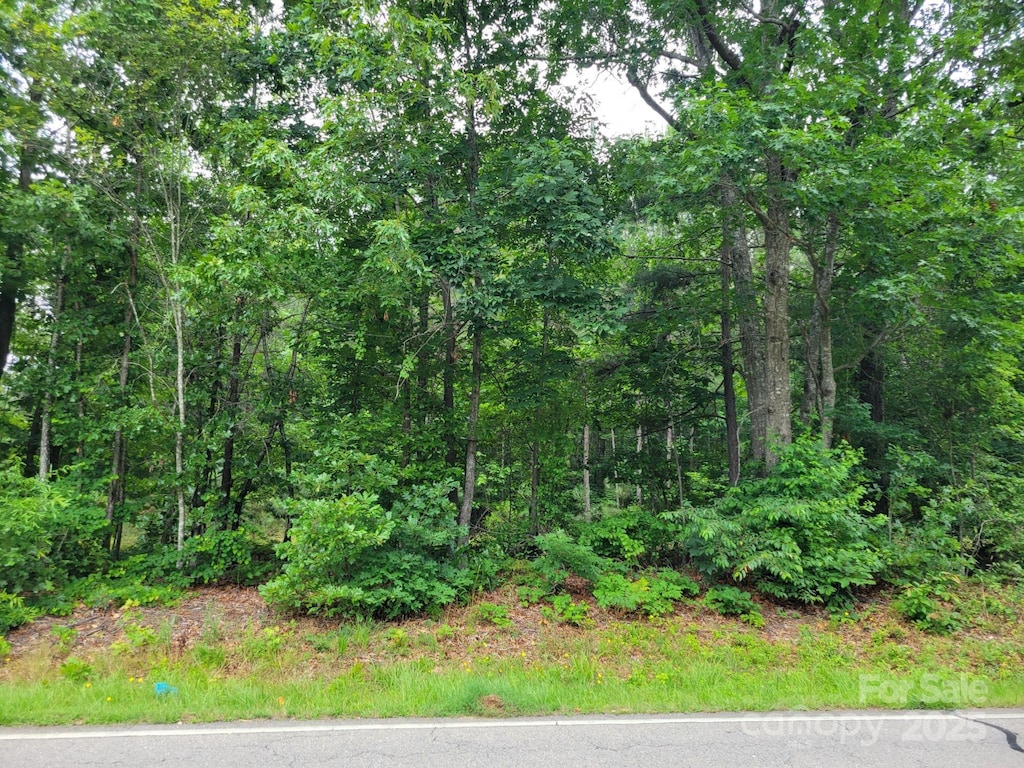 0 Dairy Rd Unit 4, Troy, NC 27371