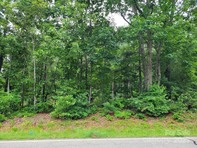 0 Dairy Rd Unit 4, Troy, NC 27371