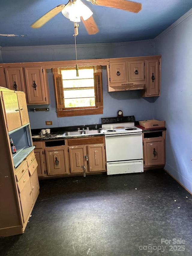 118 Hemphill Ave, Chester, SC 29706 - kitchen with electric stove, a ceiling fan, crown molding, under cabinet range hood, and dark floors