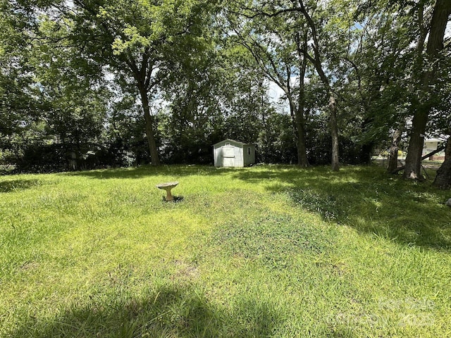 118 Hemphill Ave, Chester, SC 29706 - view of yard with a storage unit