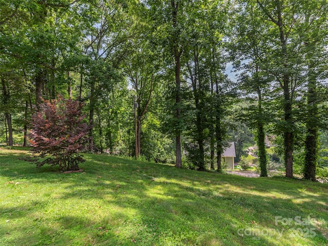 623 Nellie John Dr, Clyde, NC 28721 - view of grassy yard