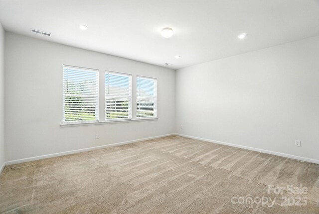 231 Cotton Ridge Pl, Rock Hill, SC 29730 - photo 22