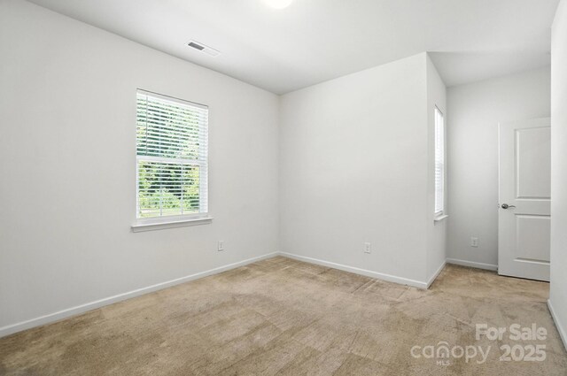 231 Cotton Ridge Pl, Rock Hill, SC 29730 - photo 28