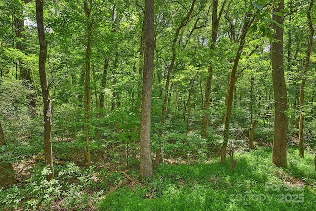 6115 Coltswood Ct, Charlotte, NC 28211 - photo 32