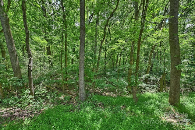 6115 Coltswood Ct, Charlotte, NC 28211 - photo 33