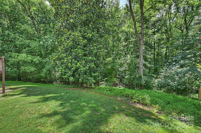 6115 Coltswood Ct, Charlotte, NC 28211 - photo 36