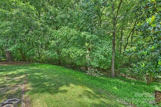 6115 Coltswood Ct, Charlotte, NC 28211 - photo 37