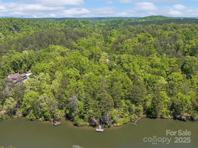 LOT14 S Cove Rd, Mill Spring, NC 28756