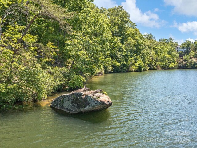 LOT14 S Cove Rd, Mill Spring, NC 28756