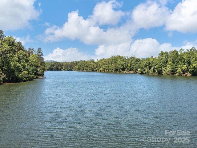 LOT14 S Cove Rd, Mill Spring, NC 28756