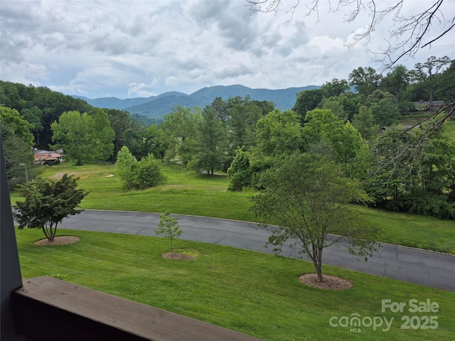87 Willow Rd Unit B-6, Waynesville, NC 28786 - photo 8