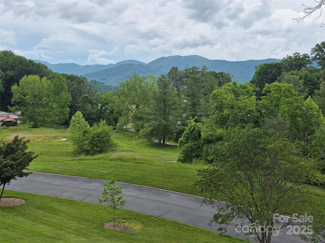 87 Willow Rd Unit B-6, Waynesville, NC 28786 - photo 9
