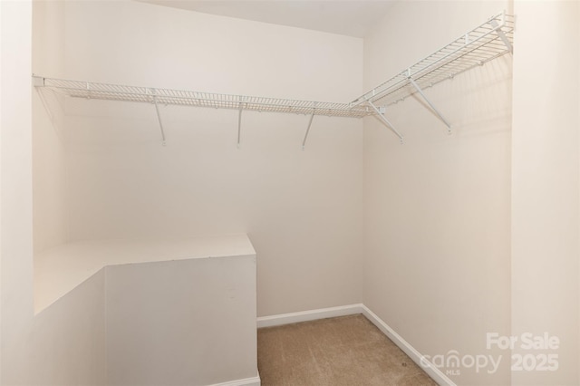 5307 Ayers Orchard Way, Charlotte, NC 28227 - spacious closet featuring light carpet