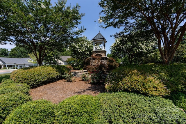 1040 Stonedown Ln, Matthews, NC 28104 - view of yard