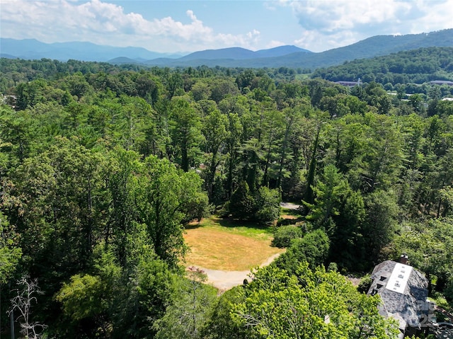 59 Stuyvesant Rd, Asheville, NC 28803 - photo 1
