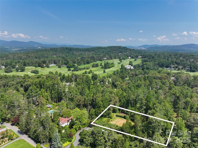 59 Stuyvesant Rd, Asheville, NC 28803 - photo 2