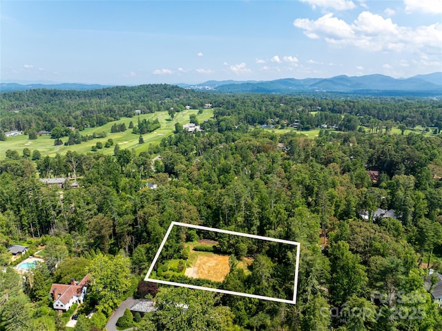 59 Stuyvesant Rd, Asheville, NC 28803 - photo 3