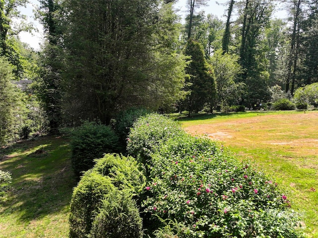 59 Stuyvesant Rd, Asheville, NC 28803 - photo 6