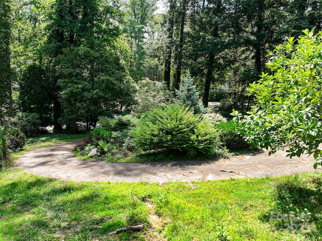 59 Stuyvesant Rd, Asheville, NC 28803 - photo 7