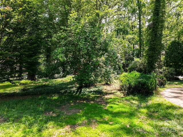 59 Stuyvesant Rd, Asheville, NC 28803 - photo 8
