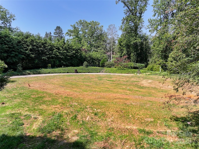 59 Stuyvesant Rd, Asheville, NC 28803 - photo 9