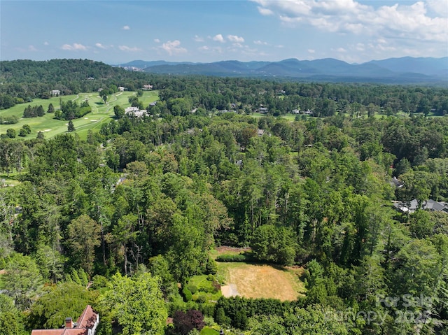 59 Stuyvesant Rd, Asheville, NC 28803 - photo 11