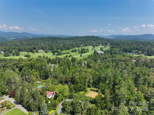59 Stuyvesant Rd, Asheville, NC 28803 - photo 12