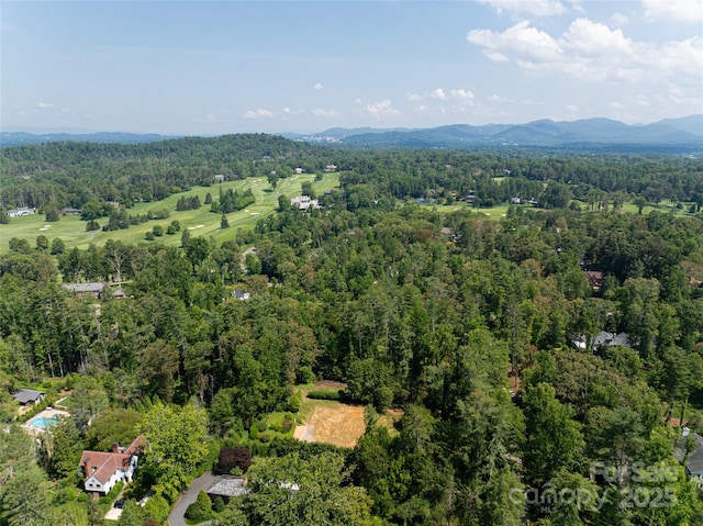 59 Stuyvesant Rd, Asheville, NC 28803 - photo 13