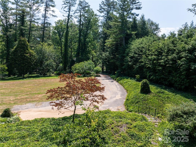 59 Stuyvesant Rd, Asheville, NC 28803 - photo 16