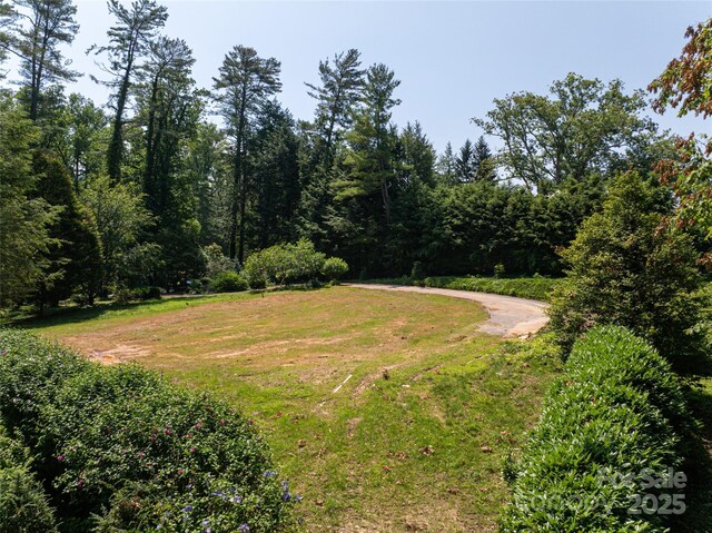 59 Stuyvesant Rd, Asheville, NC 28803 - photo 17