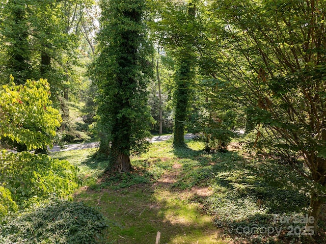 59 Stuyvesant Rd, Asheville, NC 28803 - photo 18