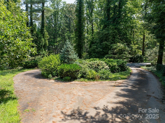 59 Stuyvesant Rd, Asheville, NC 28803 - photo 20