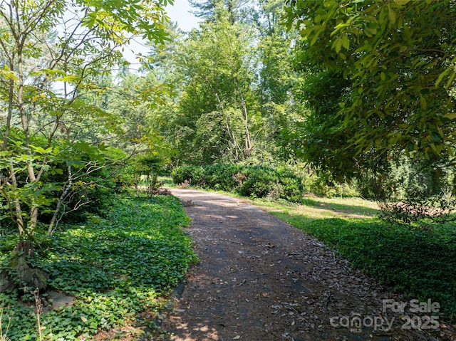 59 Stuyvesant Rd, Asheville, NC 28803 - photo 21