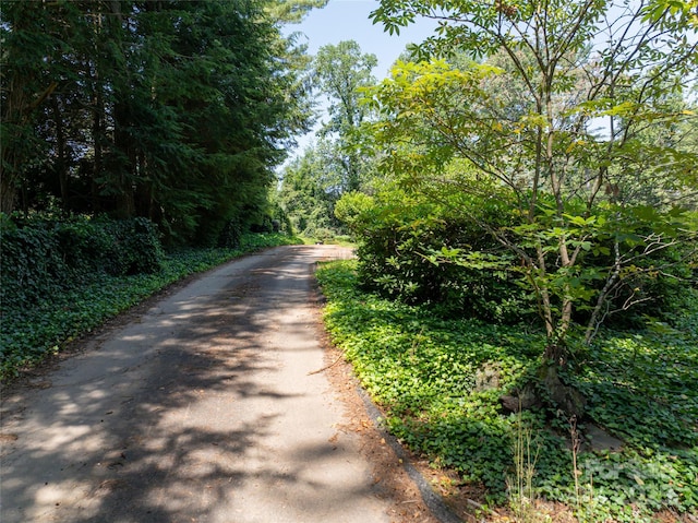 59 Stuyvesant Rd, Asheville, NC 28803 - photo 22