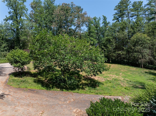 59 Stuyvesant Rd, Asheville, NC 28803 - photo 23
