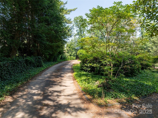 59 Stuyvesant Rd, Asheville, NC 28803 - photo 24