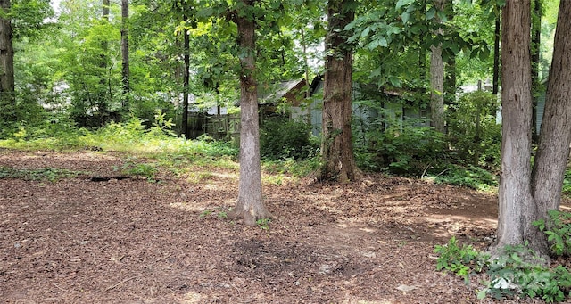 7705 Stone Canyon Ln, Charlotte, NC 28227 - view of yard featuring a view of trees