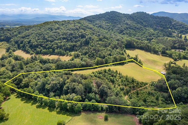 00 Potato Branch Rd, Leicester, NC 28748